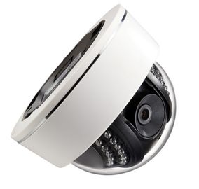 1.3MP videoduwalarm en van Aarm Megapixel IP van de Motieopsporing Camera